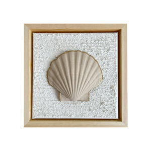 Waves 3D coquille sand