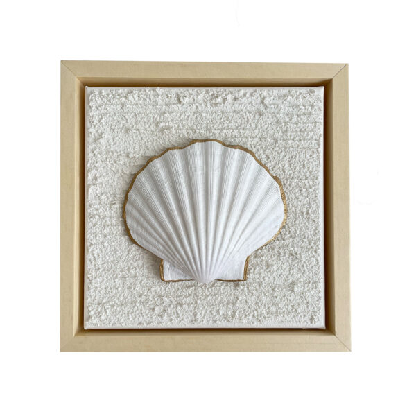 Waves 3D coquille white